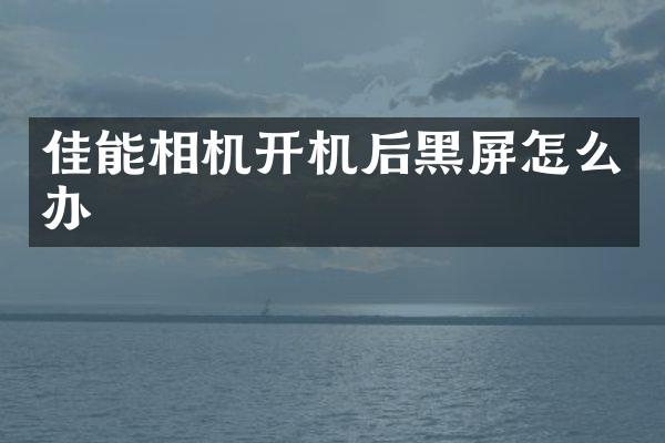 佳能相机开机后黑屏怎么办