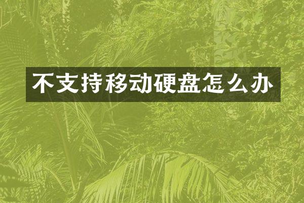 不支持移动硬盘怎么办