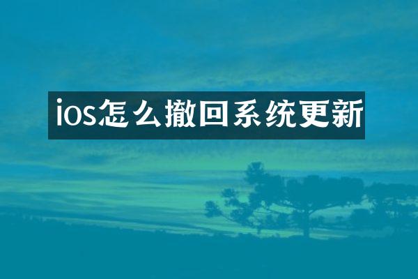 ios怎么撤回系统更新