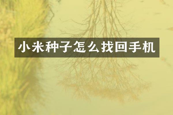 小米种子怎么找回手机