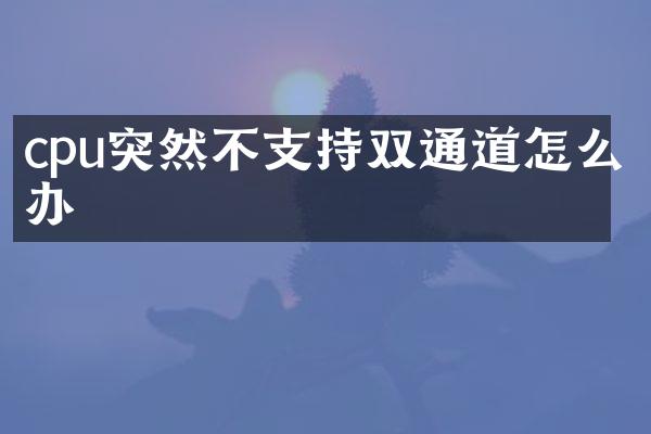 cpu突然不支持双通道怎么办