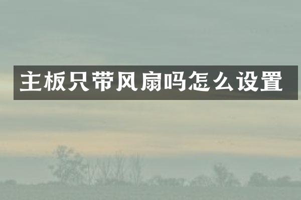 主板只带风扇吗怎么设置