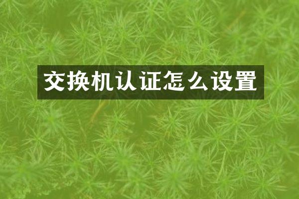 交换机认证怎么设置