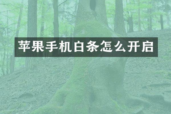 苹果手机白条怎么开启