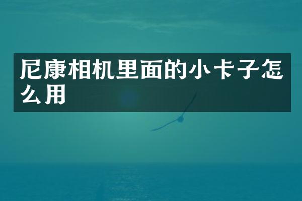 尼康相机里面的小卡子怎么用