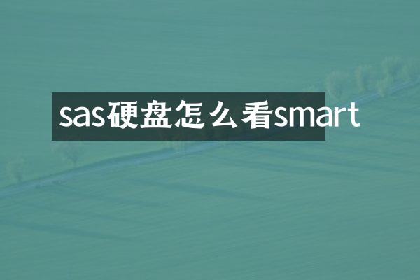 sas硬盘怎么看smart
