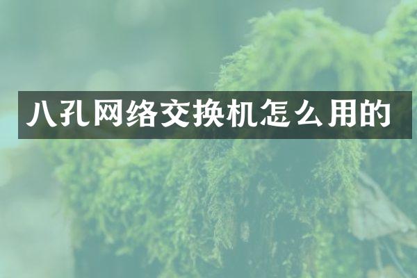 八孔网络交换机怎么用的