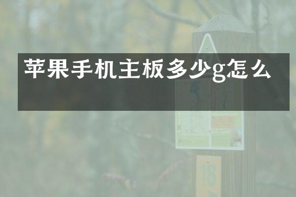 苹果手机主板多少g怎么看
