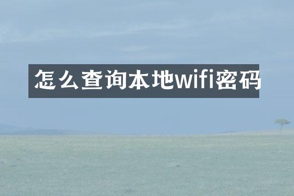 怎么查询本地wifi密码