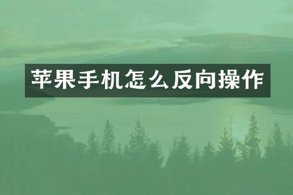 苹果手机怎么反向操作