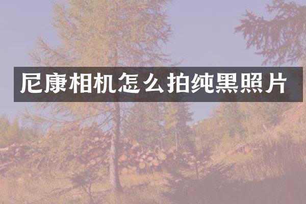 尼康相机怎么拍纯黑照片