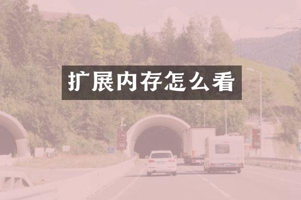 扩展内存怎么看