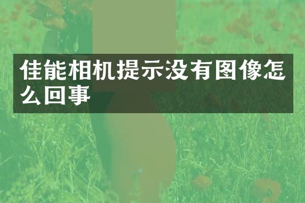 佳能相机提示没有图像怎么回事