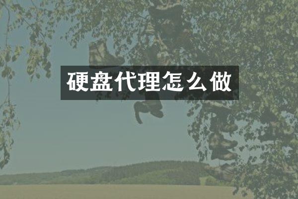 硬盘代理怎么做