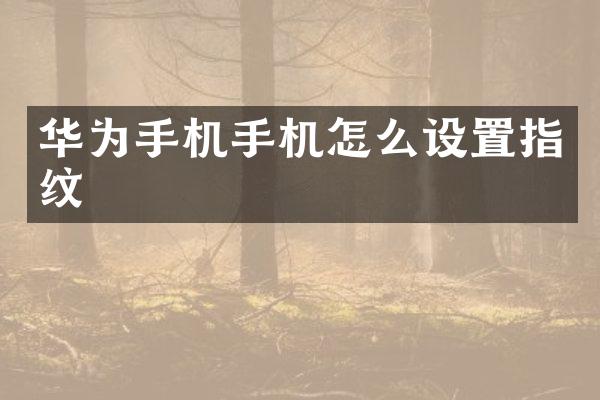 华为手机手机怎么设置指纹