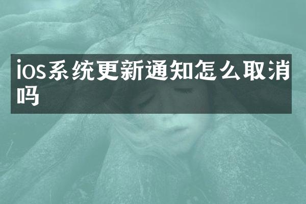ios系统更新通知怎么取消吗