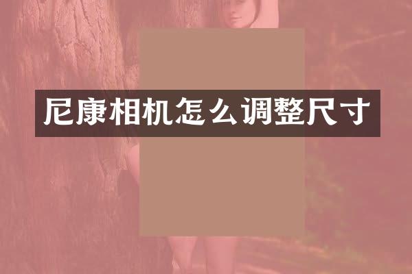 尼康相机怎么调整尺寸