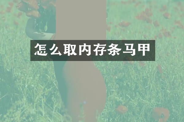 怎么取内存条马甲