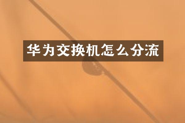 华为交换机怎么分流