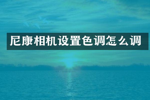 尼康相机设置色调怎么调