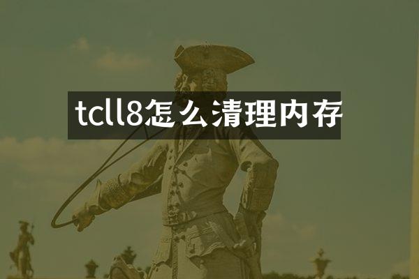 tcll8怎么清理内存