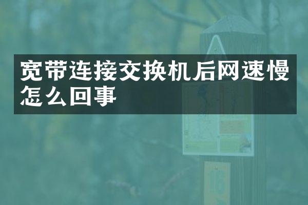 宽带连接交换机后网速慢怎么回事