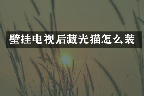 壁挂电视后藏光猫怎么装