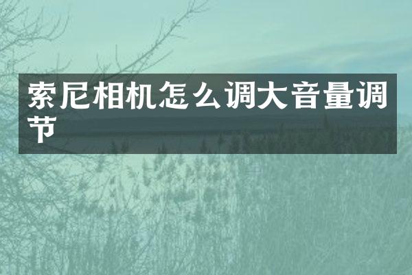 相机怎么调大音量调节