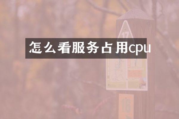怎么看服务占用cpu