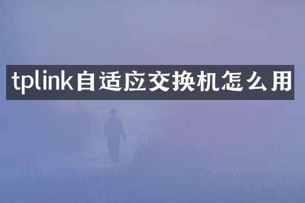 tplink自适应交换机怎么用