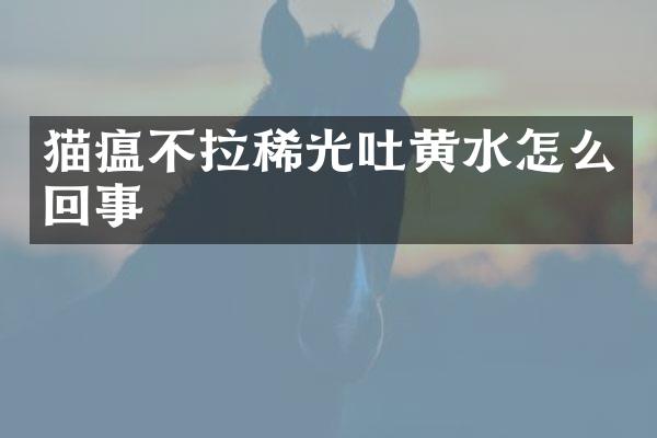 猫瘟不拉稀光吐黄水怎么回事