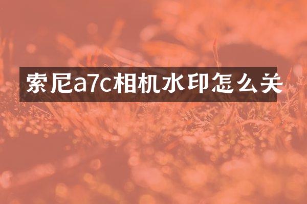 a7c相机水印怎么关