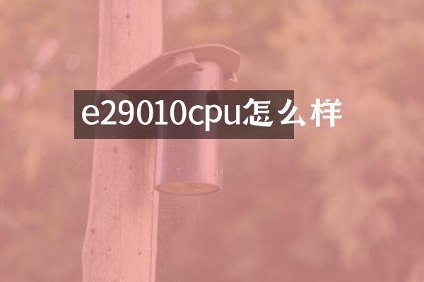 e29010cpu怎么样