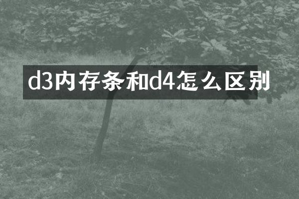 d3内存条和d4怎么区别