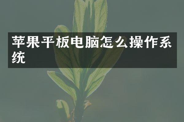 苹果平板电脑怎么操作系统