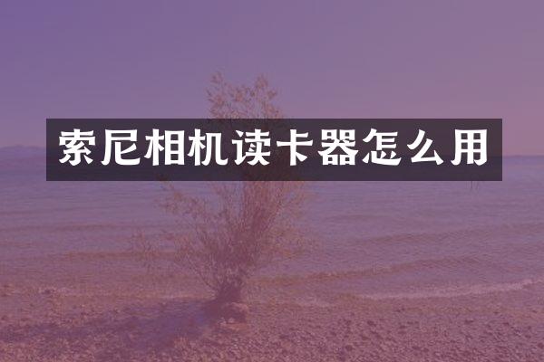 相机读卡器怎么用