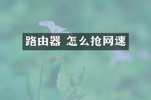 路由器 怎么抢网速