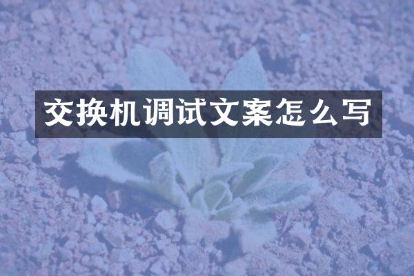 交换机调试文案怎么写