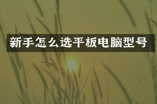 新手怎么选平板电脑型号