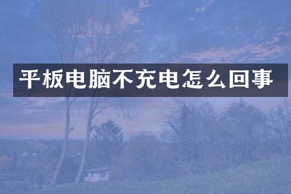 平板电脑不充电怎么回事