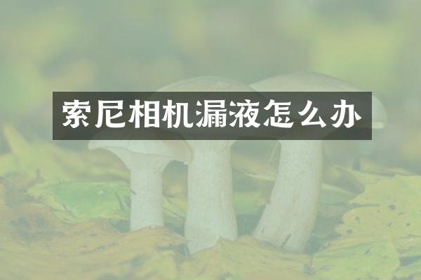 相机漏液怎么办