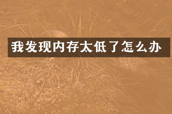 我发现内存太低了怎么办