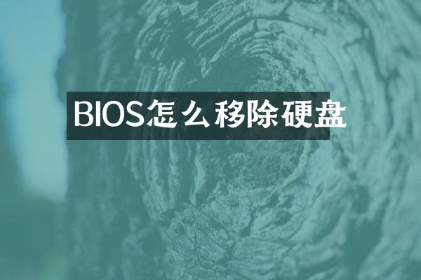 BIOS怎么移除硬盘