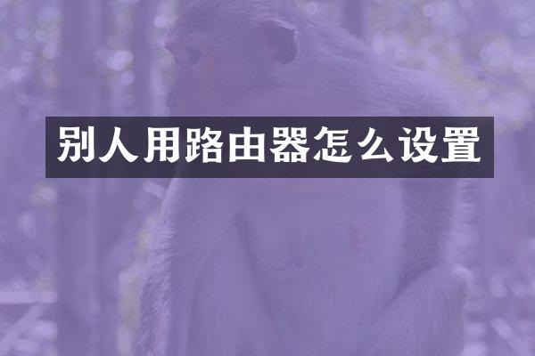 别人用路由器怎么设置