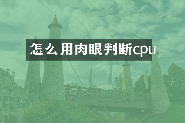 怎么用肉眼判断cpu