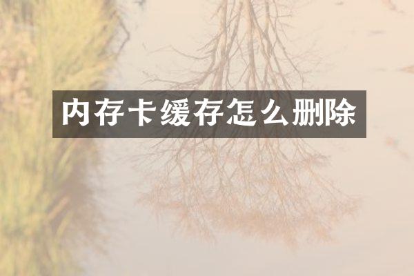 内存卡缓存怎么删除