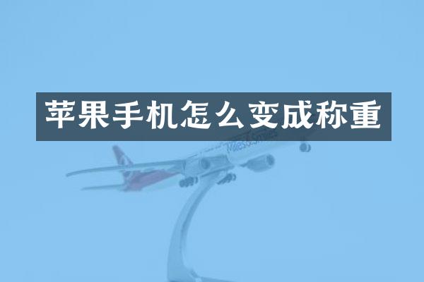 苹果手机怎么变成称重