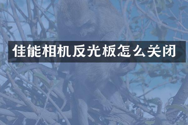 佳能相机反光板怎么关闭