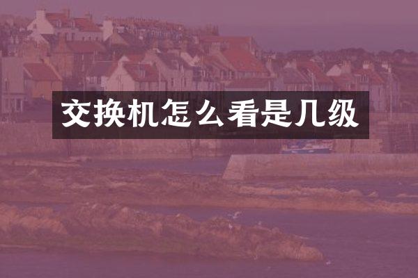 交换机怎么看是几级