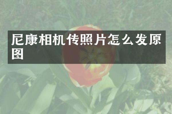 尼康相机传照片怎么发原图